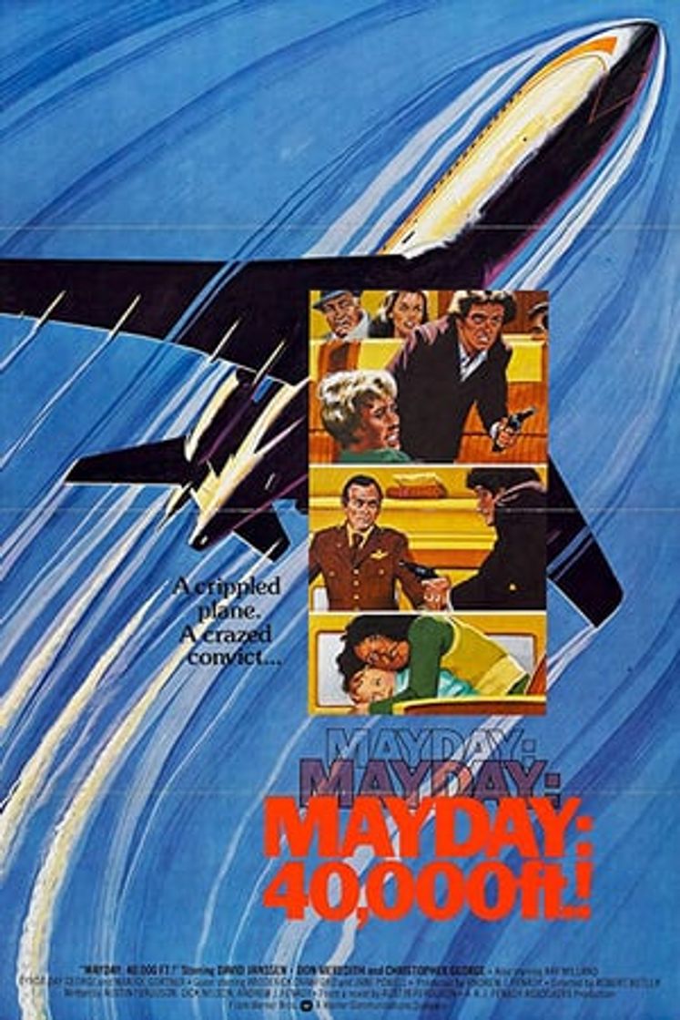 Película Mayday at 40,000 Feet!