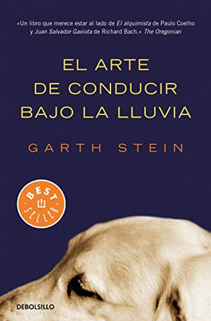 Book El arte de conducir bajo la lluvia