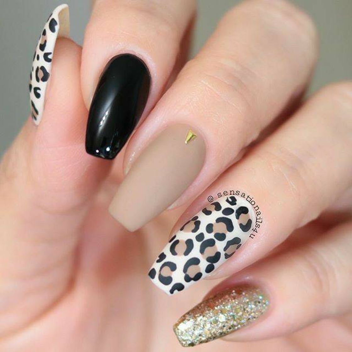 Moda Animal print