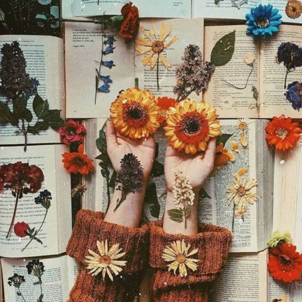 🌻🌼🌸🍃✨
