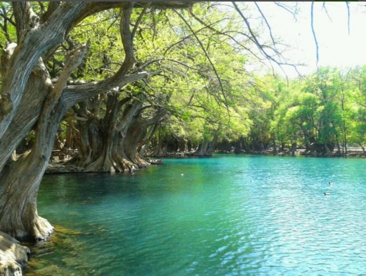 Place Camecuaro lake