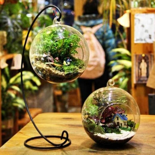 Ball Shape Hanging Glass Vase Succulent Plants Micro Landscape