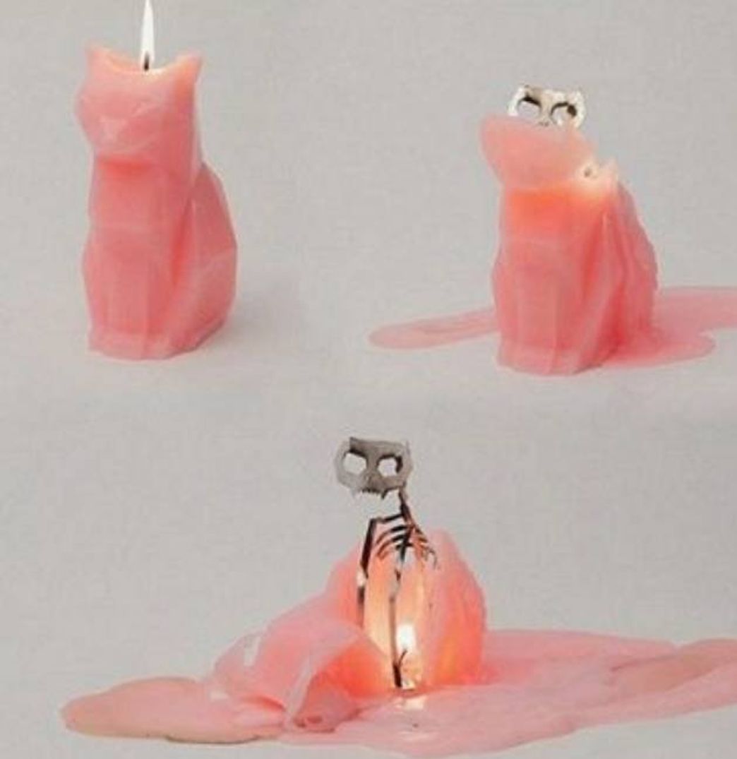 Producto Animal Skeleton Candles By PyroPets