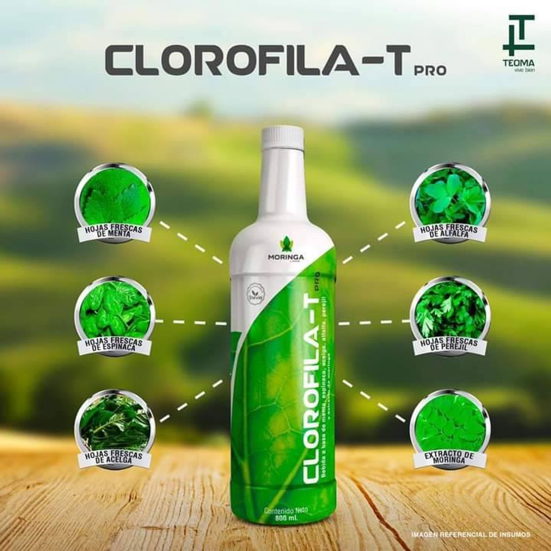 Producto Clorofila T pro ♥️