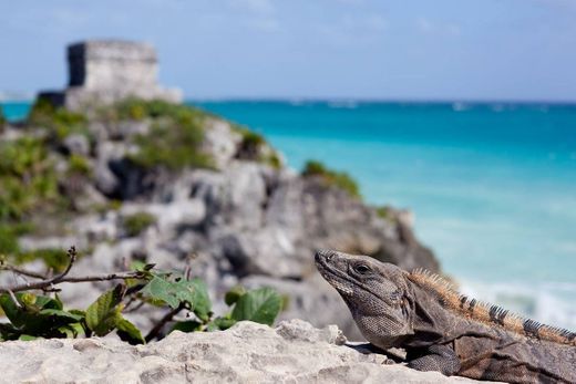 Tulum