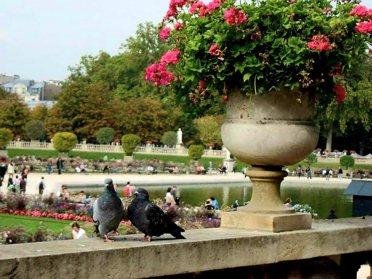 Fashion Jardim de Luxembourg - Paris França 