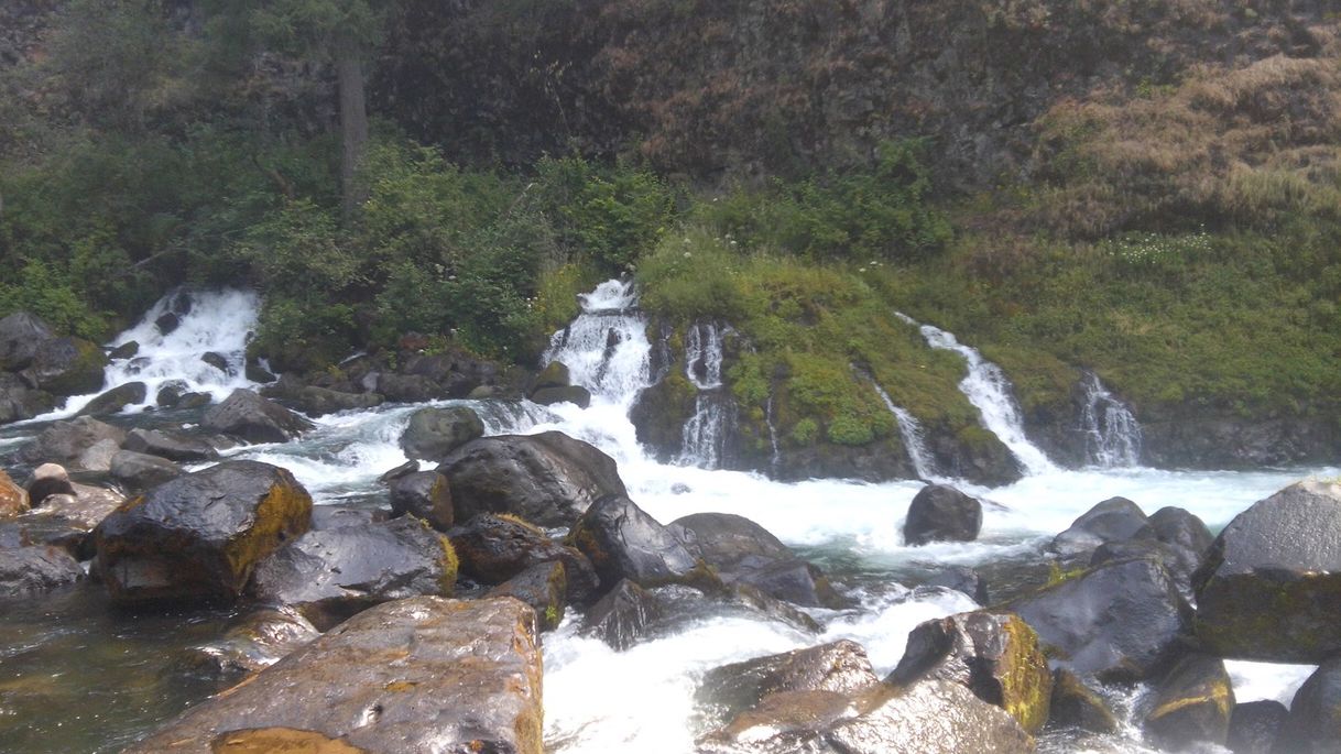 Place Sweet Creek Falls