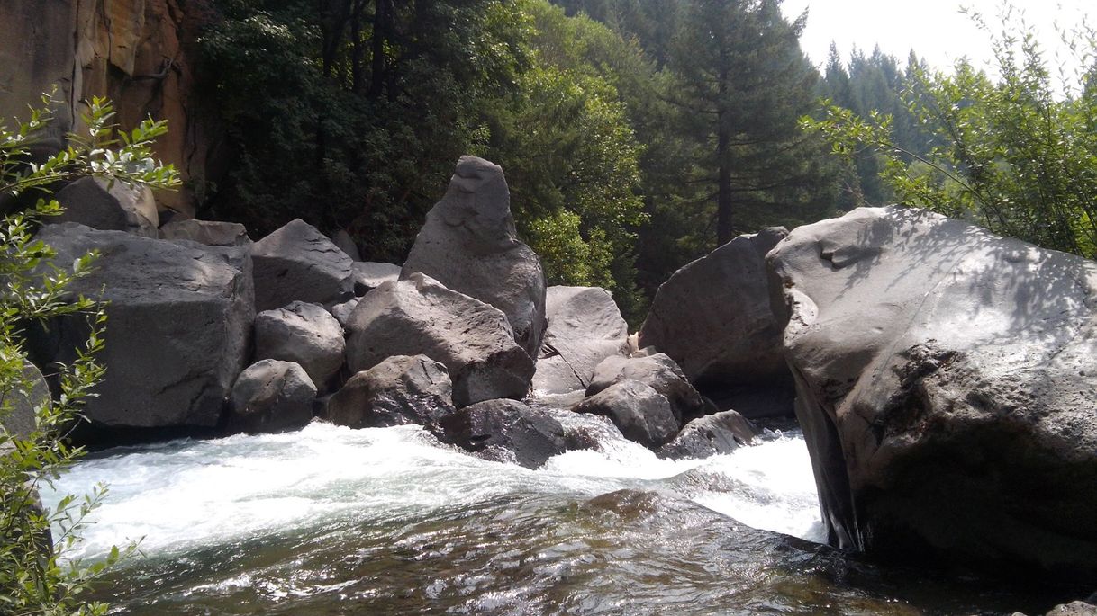 Place Sweet Creek Falls