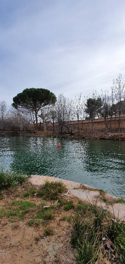 Place Balneario Termas Pallarés