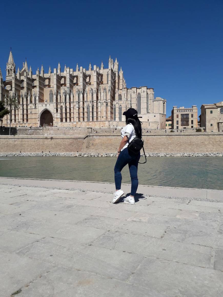 Place Catedral-Basílica de Santa María de Mallorca