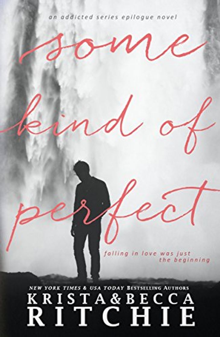 Book Some Kind of Perfect