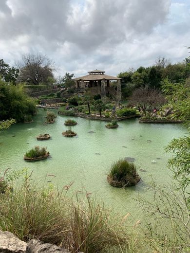 Japanese Tea Garden