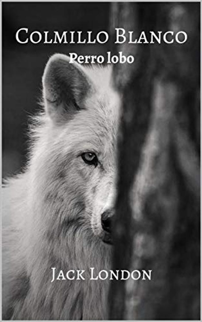 Libro Colmillo Blanco : Perro lobo