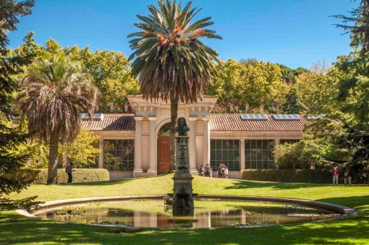 Lugar Real Jardín Botánico