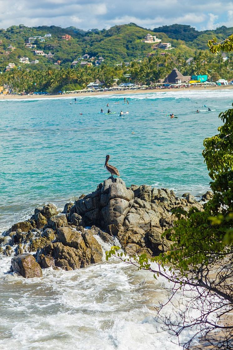 Lugar Sayulita