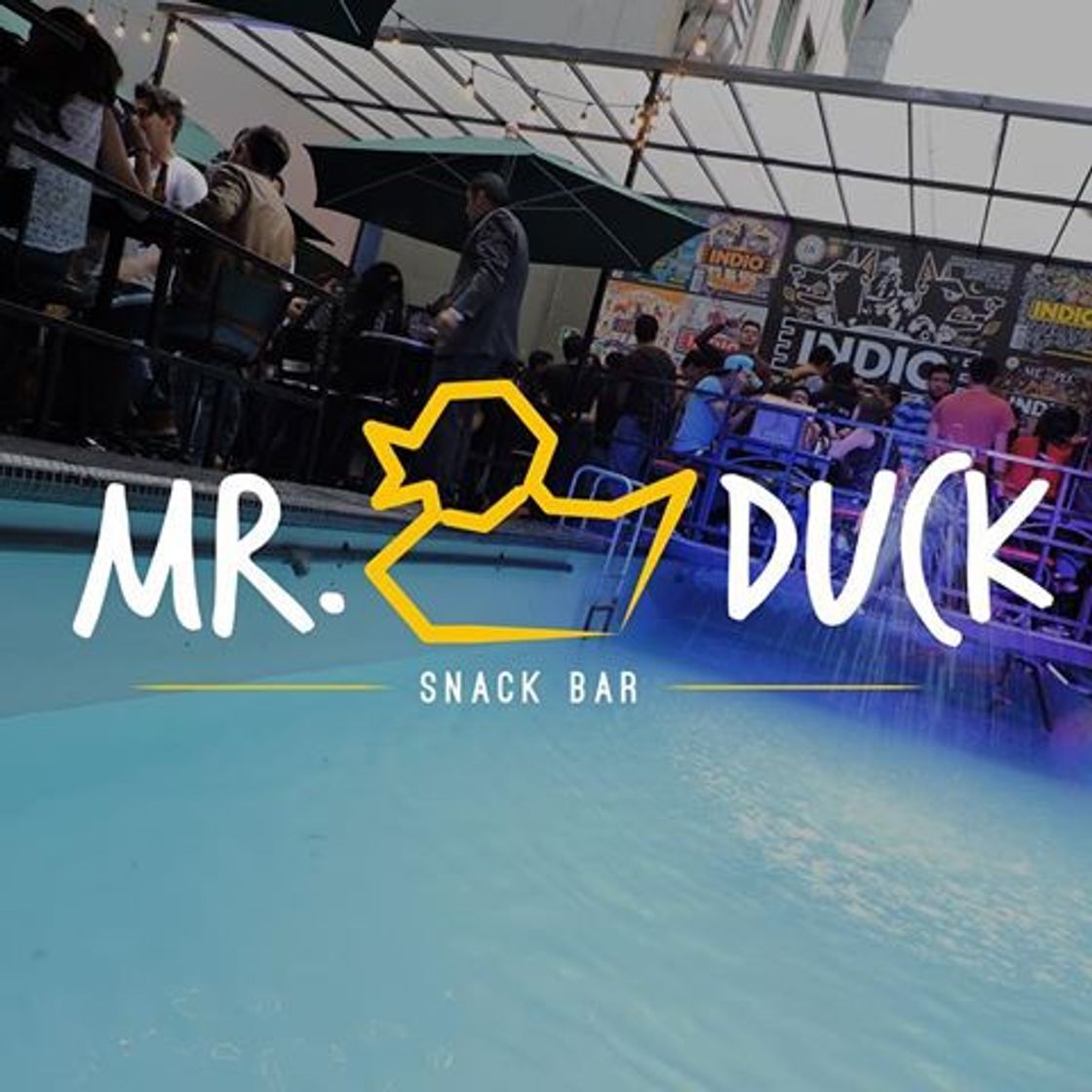 Place Mr. Duck