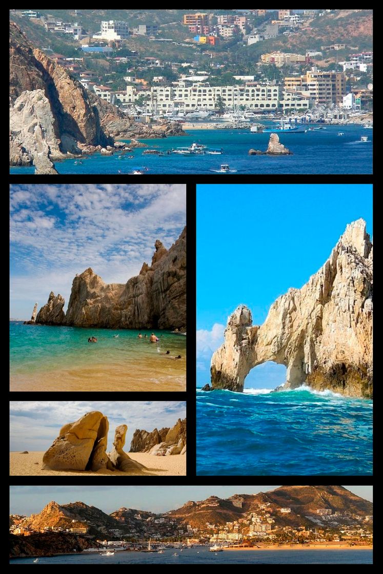 Place Los Cabos