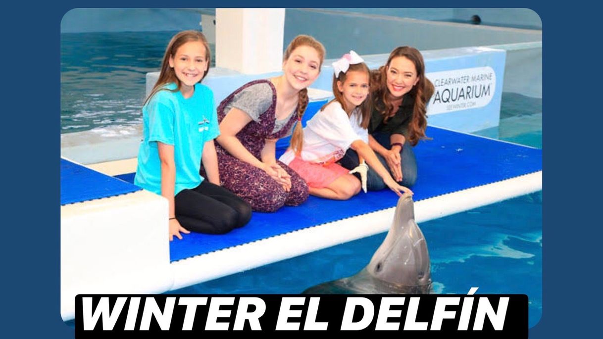 Movie La gran aventura de Winter el delfín