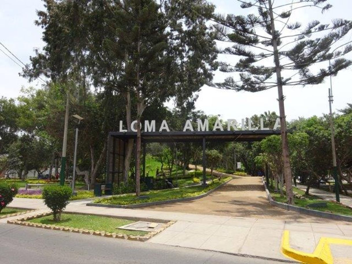 Lugar Loma Amarilla Ecological Park