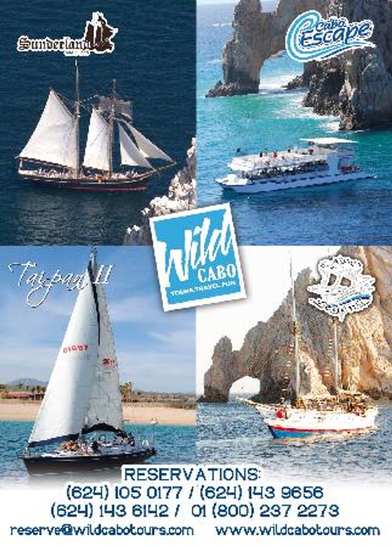 Place Wild CABO TOURS