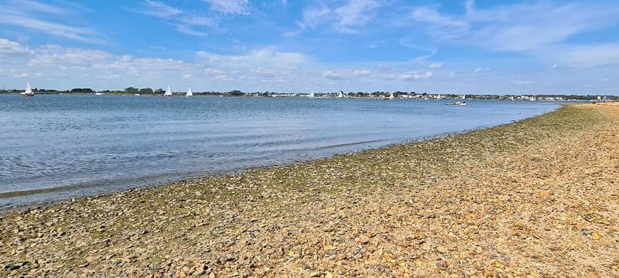 Lugar Christchurch Harbour