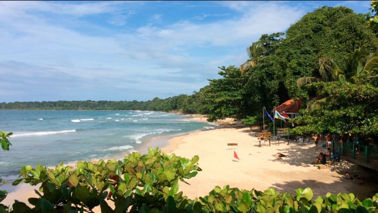 Lugares Parque Nacional cahuita