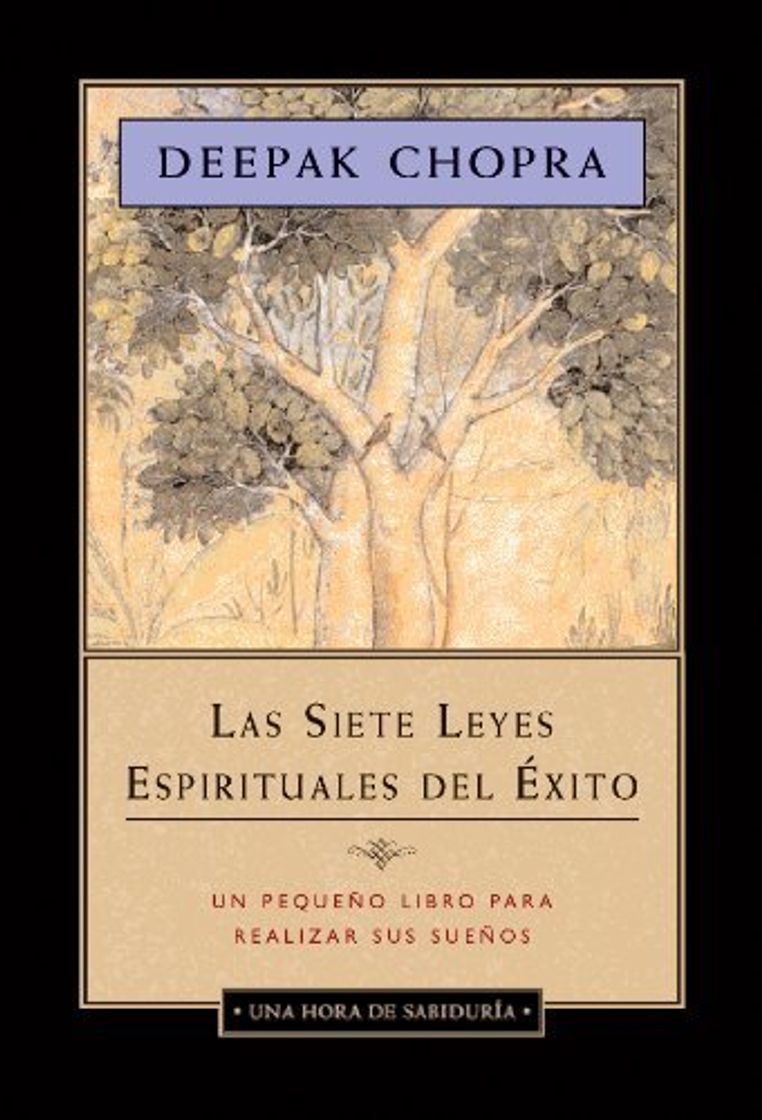 Book Las Siete Leyes Espirituales Del Éxito