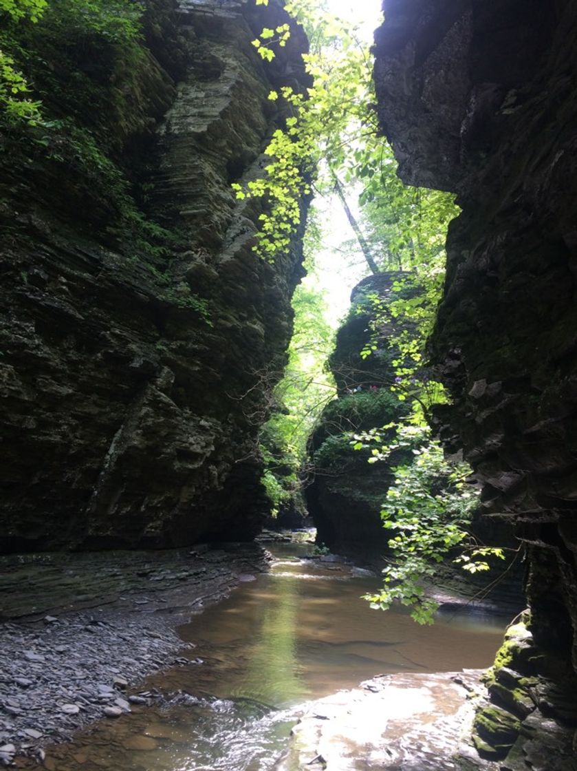 Lugar Watkins Glen State Park