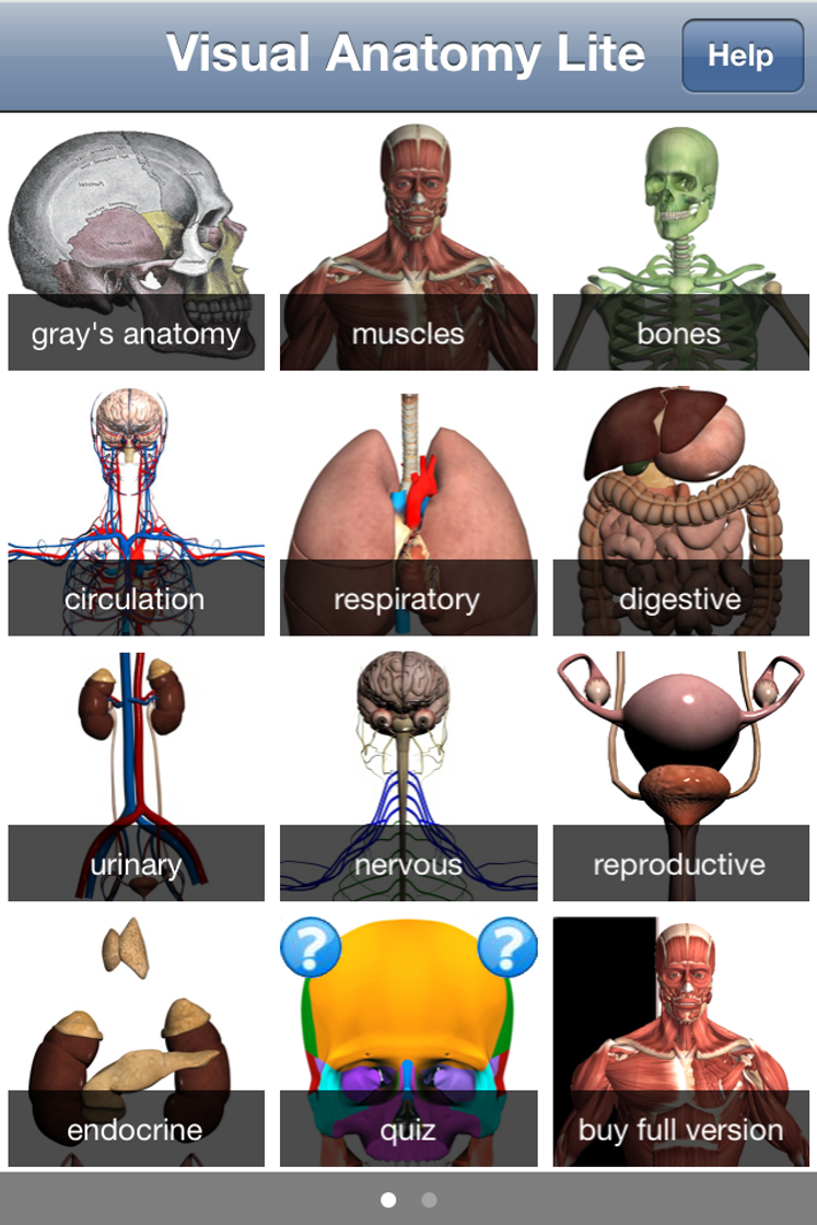 App Visual Anatomy Lite