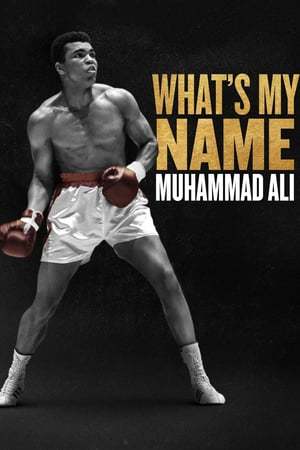 Serie Me llamo Muhammad Ali