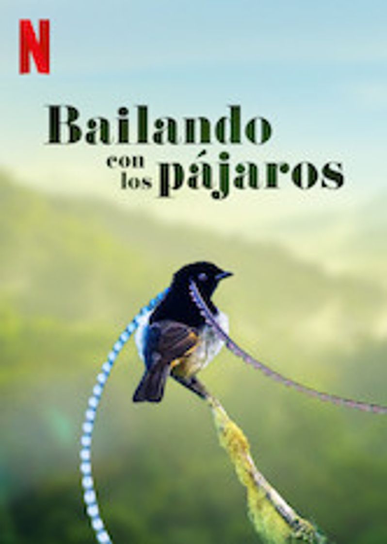 Película Bailando con los pájaros