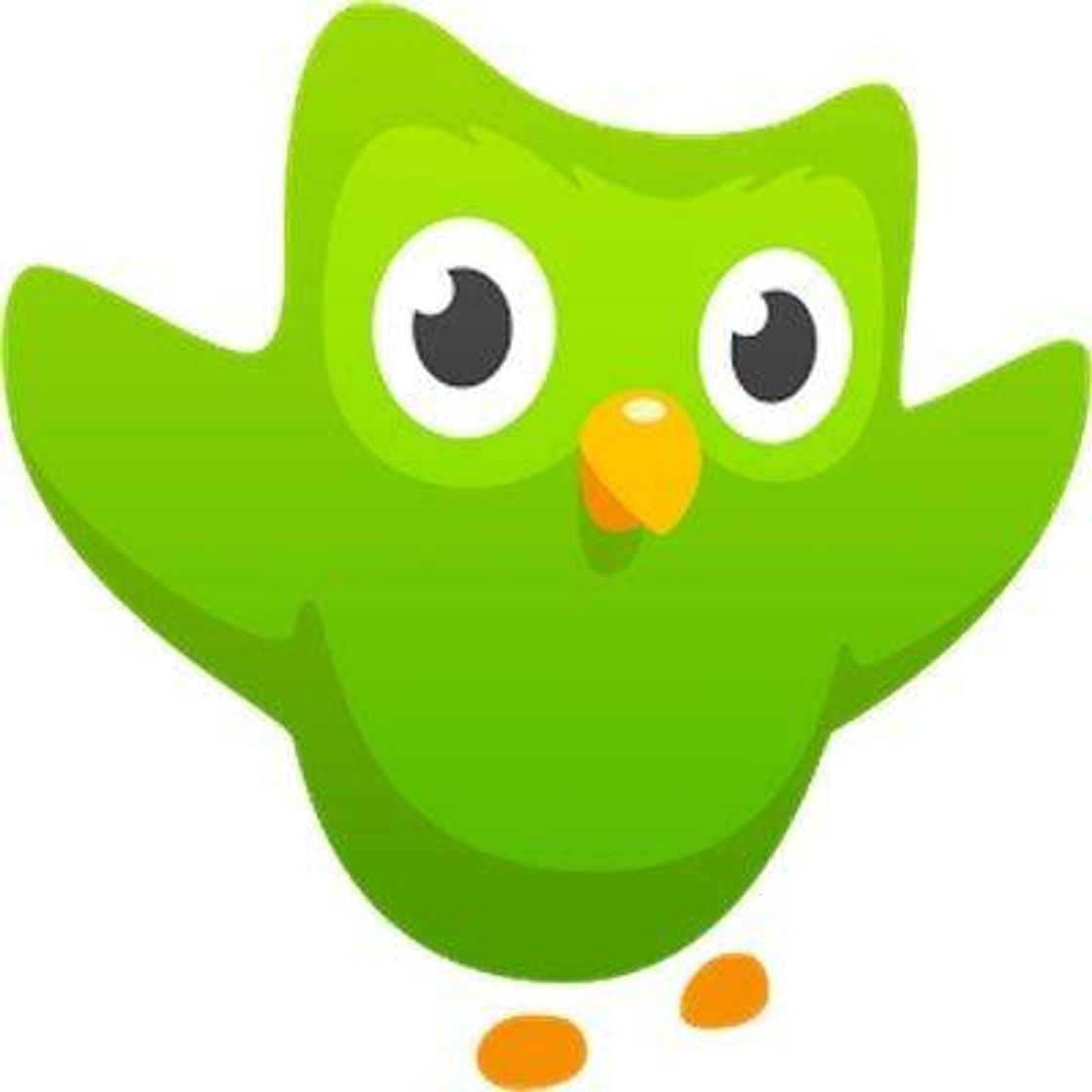 App Duolingo - Language Lessons