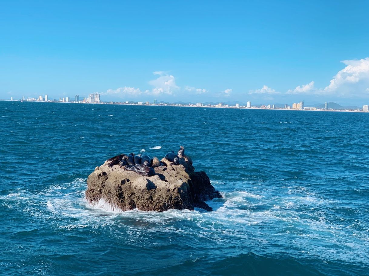 Lugar Mazatlán