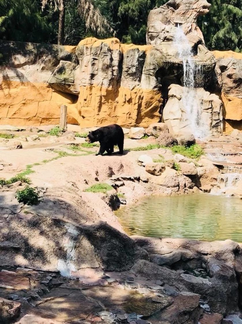 Place Zoológico de León