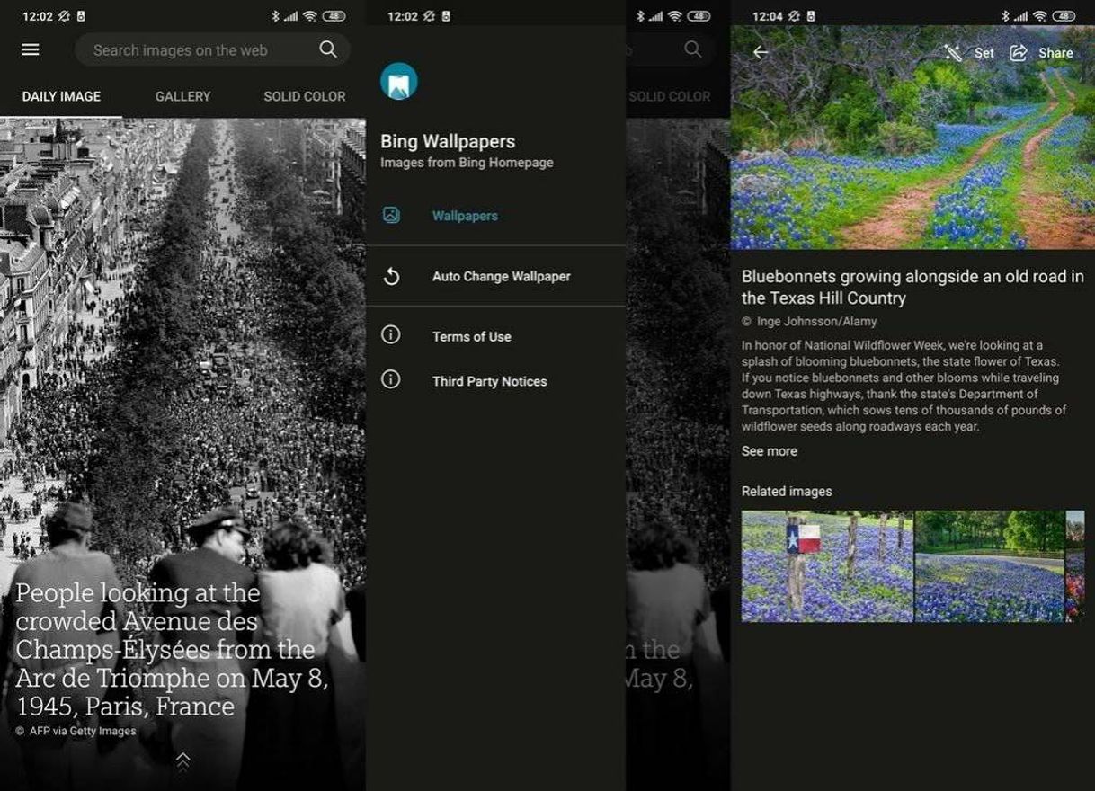 Social Bing Wallpapers

