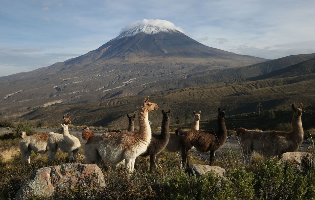 Lugar Reserva Nacional de Salinas y Aguada Blanca