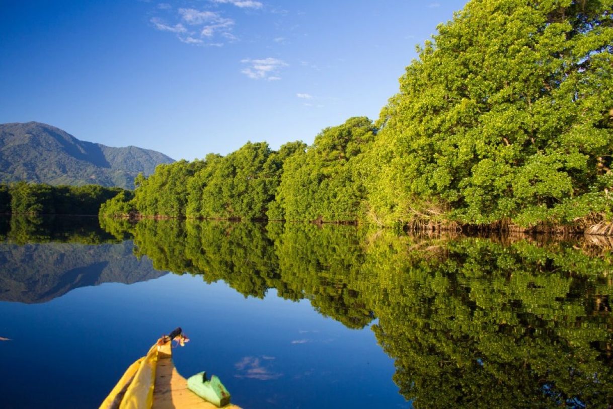 Lugar Laguna de Guaimoreto