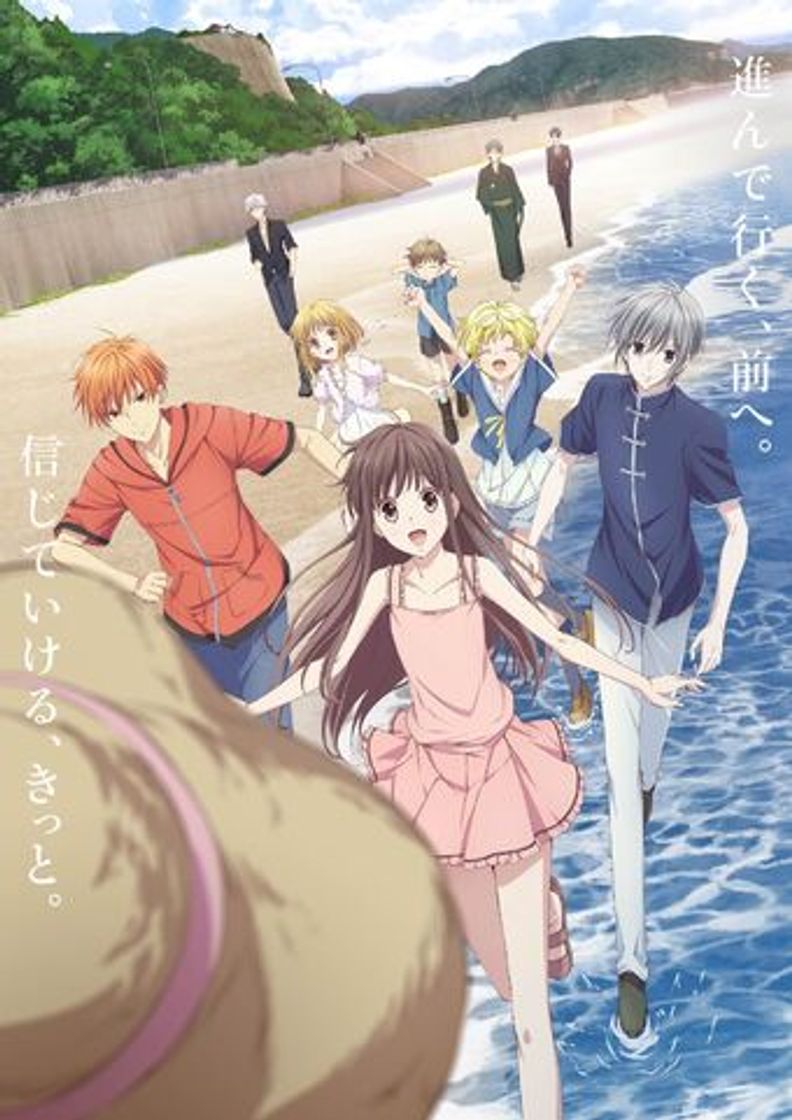 Serie Fruits Basket