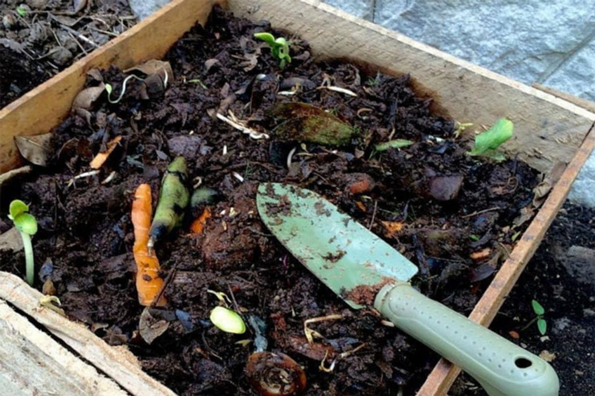 Social Guía Compost