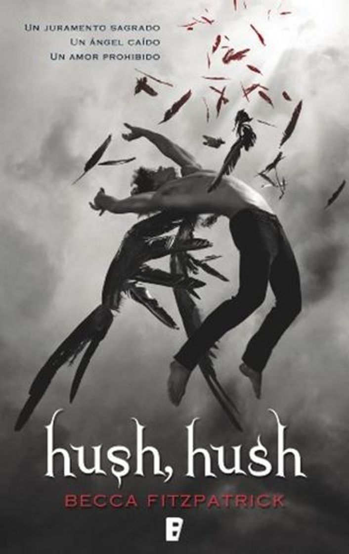 Book Hush, Hush: 1