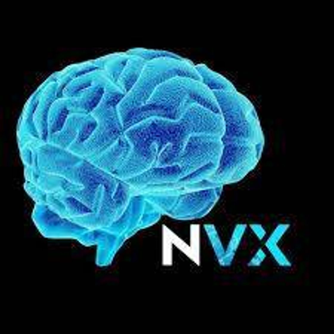 Series NeuroVox - YouTube