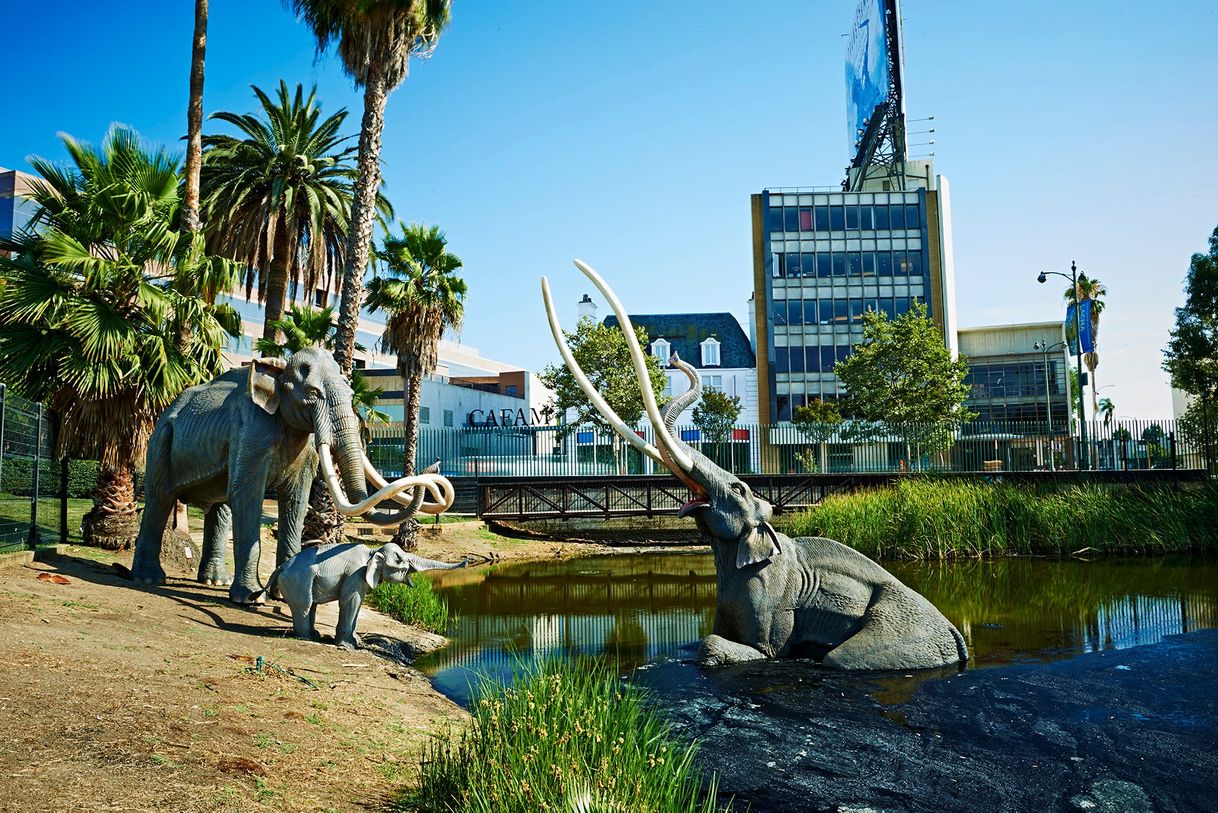 Place Museo La Brea