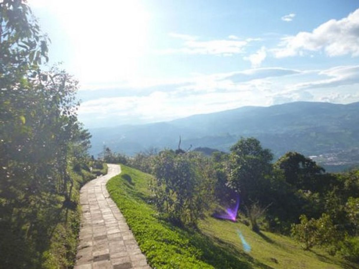 Lugar Mirador Loma Del Viento