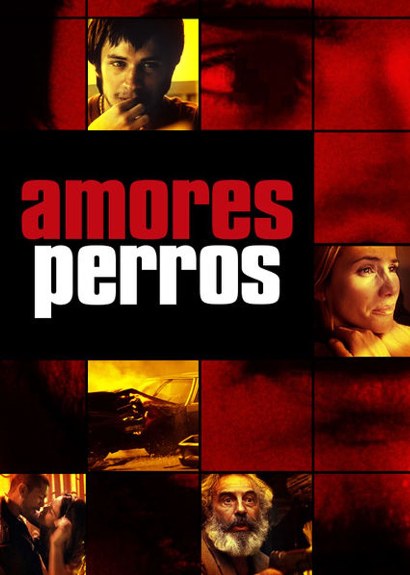 Movie Amores Perros