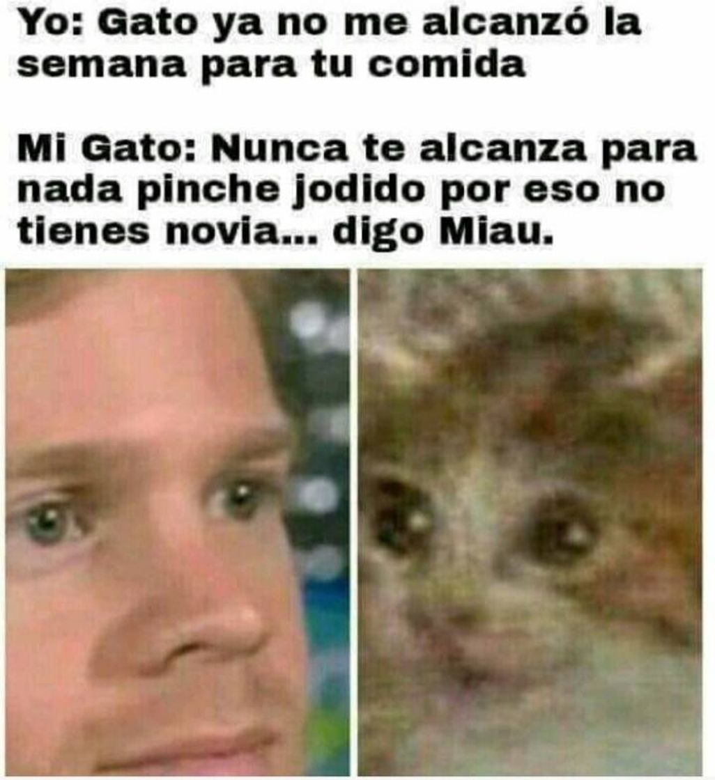 Moda No me alcanza para la comida