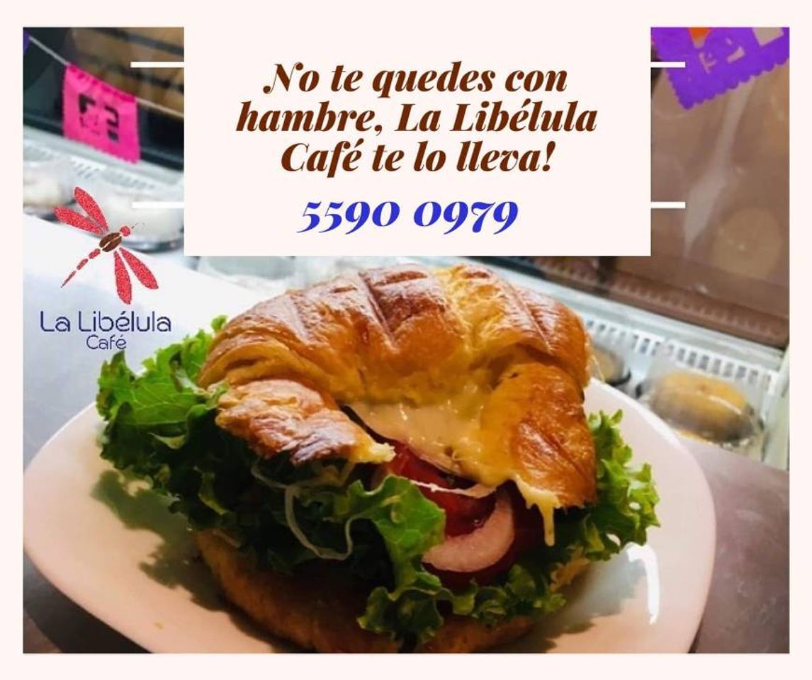 Moda La libélula  café 