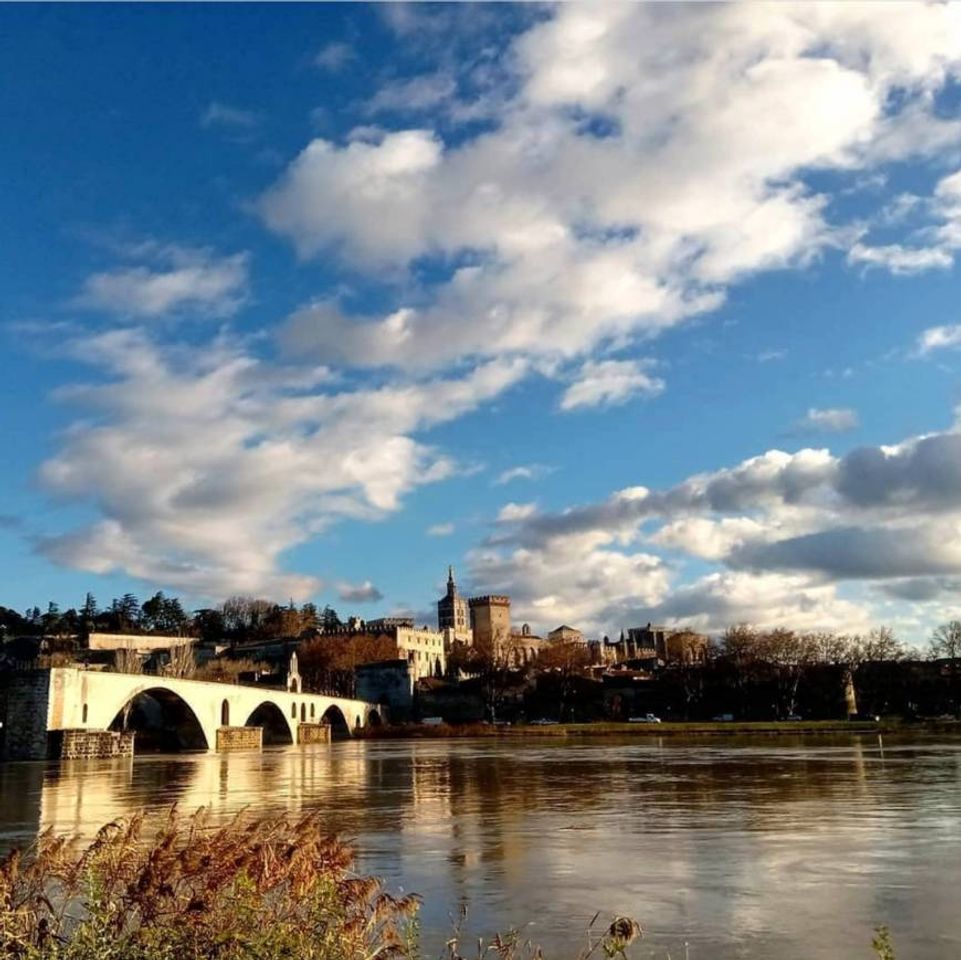 Places Pont d'Avignon