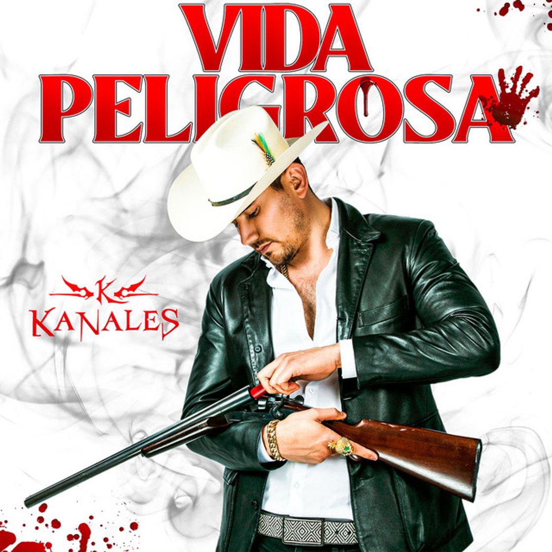 Canción Vida Peligrosa