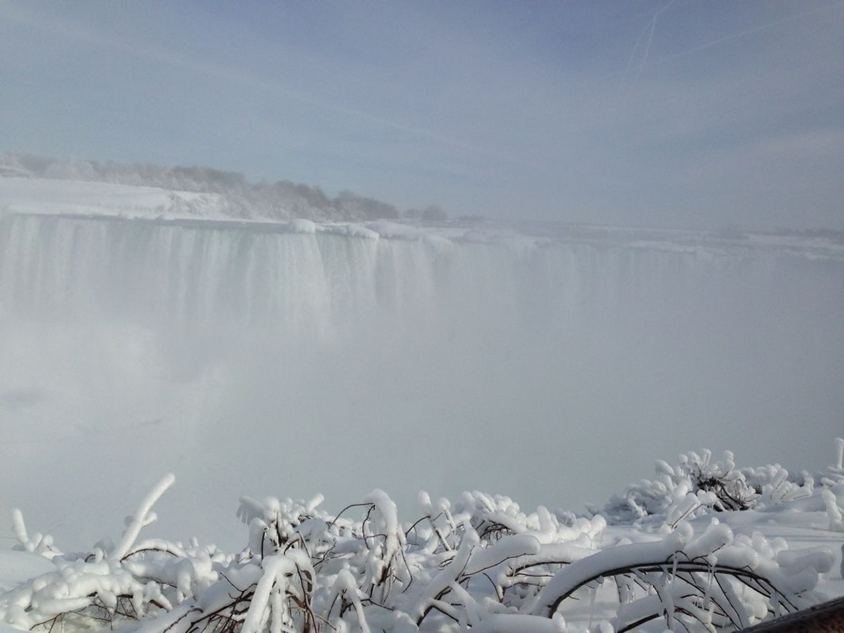 Place Niagara Falls