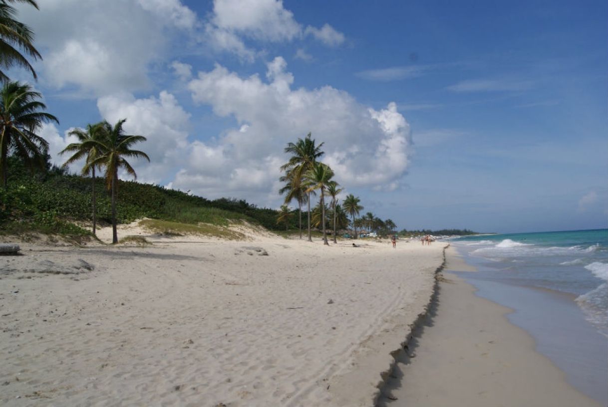 Place Playas del este